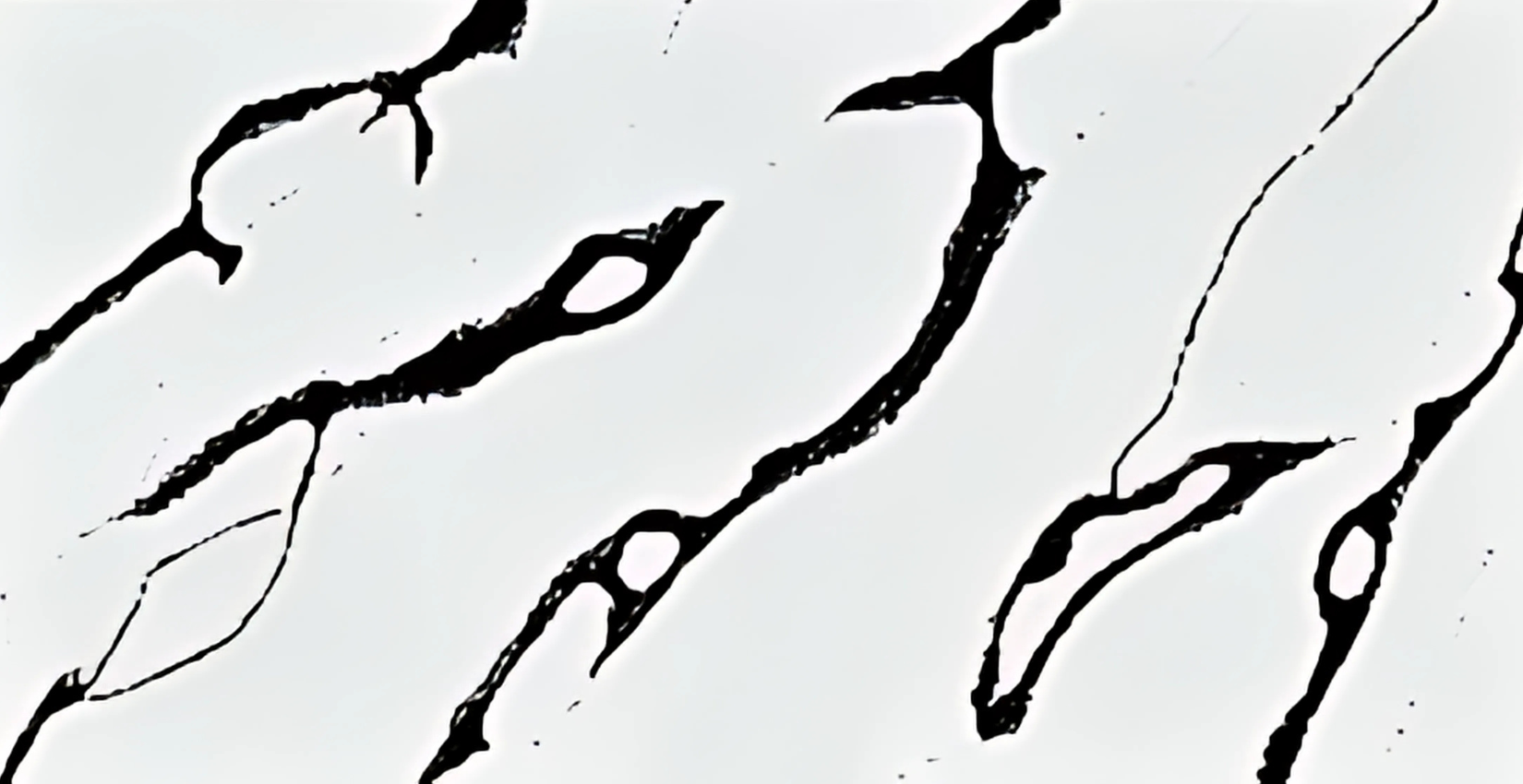 Best Quality Quartz at Stone Emporium Greater Noida